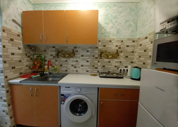 1 комнатная в центре мукачева, улица мира Apartman *